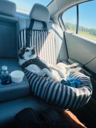 Pax living his best life 